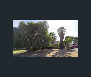 31 Rapallo Grove, Madora Bay, WA 6210 - Photo 2