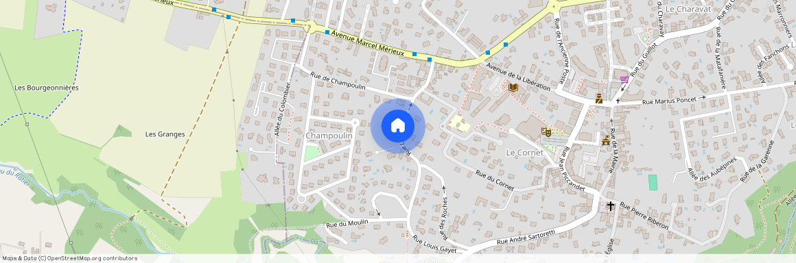 12 Rue Louis Gayet, 69290 Saint-Genis-les-Ollières, France, Lyon