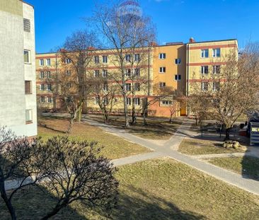 Żyrardowski, Żyrardów, ks. Ottona Wittenberga - Photo 4