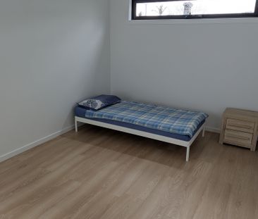 Hawthorn East - Photo 6