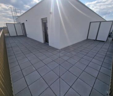 NEU - Erstbezug-Wohnung mit riesige Terrasse 45 m2 - Photo 5