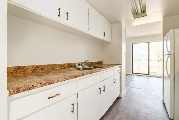 Renovated Suite - 3 Bedroom - Photo 1