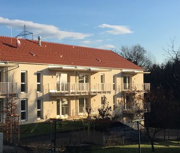 Helle 2-Zimmer-Wohnung mit Balkon inkl. Küchenblock - Foto 6