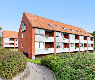 Afd. 21 Rosenvænget 9 - Photo 2