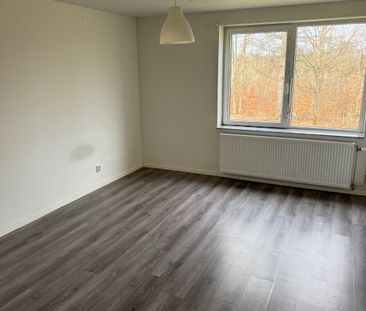 Dalgångsvägen, Konga - Photo 4