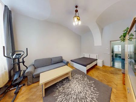 Stylový a tichý zařízený byt v srdci Prahy 1 s myčkou nádobí (Krakovská ulice) - Fotografie 5