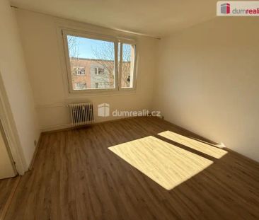 Pronájem bytu 2+kk Jílové 36 m - Fotografie 4