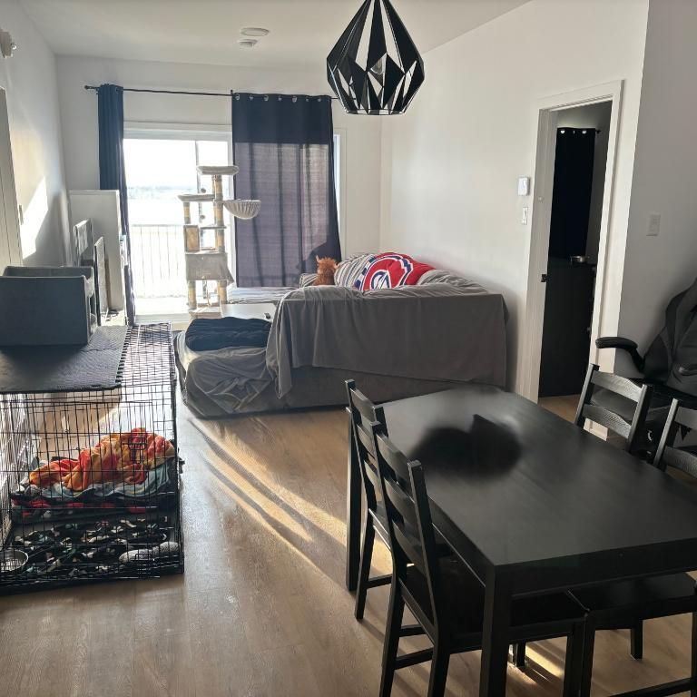 Appartement 4 1/2 Secteur paisible à 5 mins des services St-Hyacinthe à louer - Photo 1