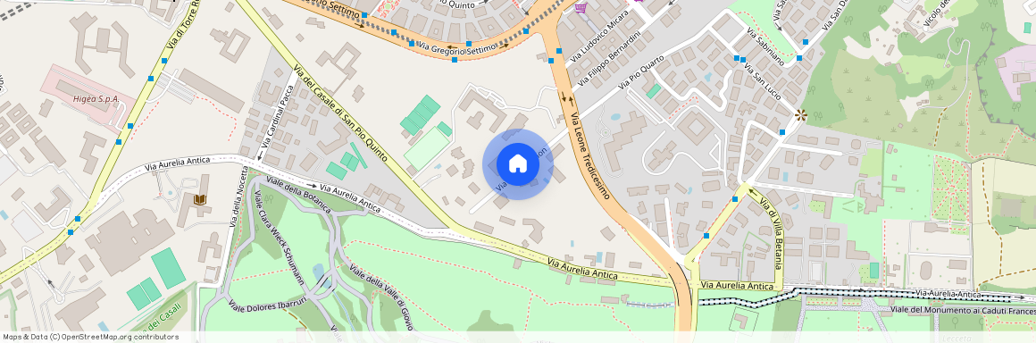 Via Leone Dehon, Rome, Lazio 00165