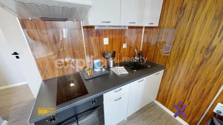 Pronájem ateliéru 1+kk, 37 m - Fotografie 3
