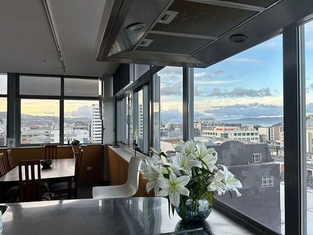 Penthouse, space, sun & views! - Photo 5