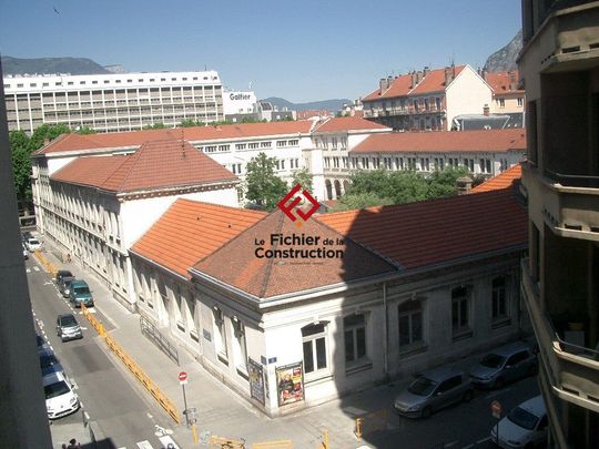 Location Appartement 1 pièce 15m² GRENOBLE 38000 - Photo 1