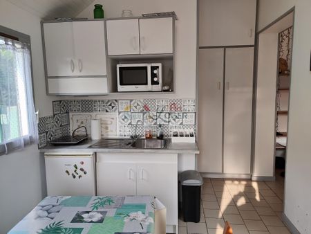 Location Appartement 1 pièce 17m² CARQUEFOU 44470 - Photo 3