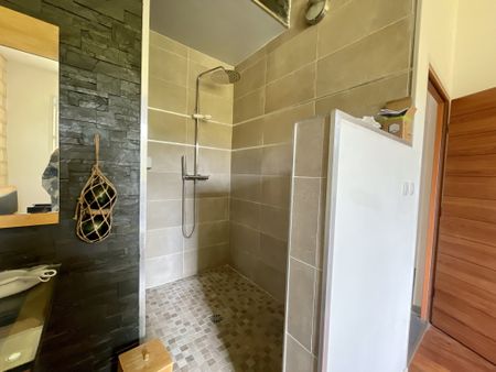 Location Appartement 1 pièce 60m² MONTPELLIER 34000 - Photo 4