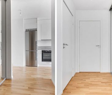 Packhusgatan, Limhamn - Photo 5