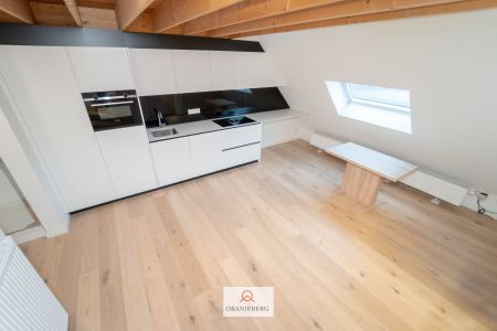 Gerenoveerd appartement met unieke en rustige ligging - Foto 2