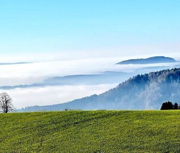 4.5-ROOM HOUSE IN MENZINGEN (ZG), FURNISHED, TEMPORARY - Photo 4