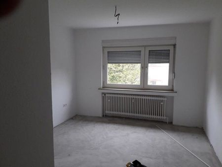 3-Zimmer-Wohnung mit neuem Bad und neuer Elektrik, frisch renoviert - Foto 5