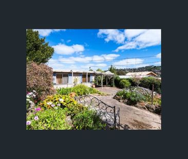 Light-Filled Home in ever-popular Newtown - Photo 1