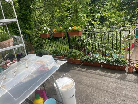 Derby Road - Photo 4