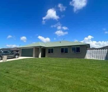Up and coming in Te Puke! - Photo 1