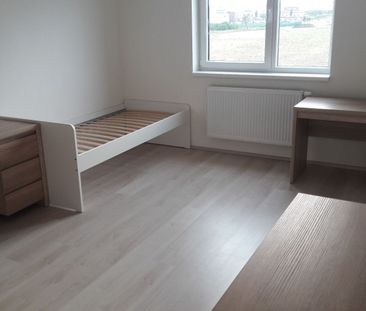 Pronájem bytu 1+kk • 28 m² bez realitkyTechnická, Plzeň - Plzeň, Pl... - Photo 1