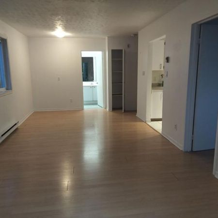 Appartement 1 chambre — 1 mois gratuit ! - Photo 3