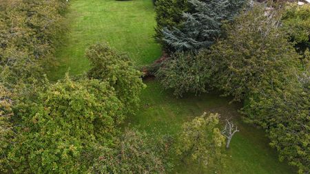 3 bedroom property to rent - Photo 4