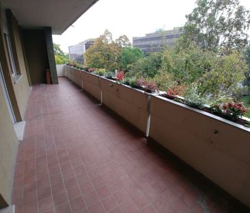 Via Luigi Pellizzo, Padova, Veneto 35128 - Photo 6