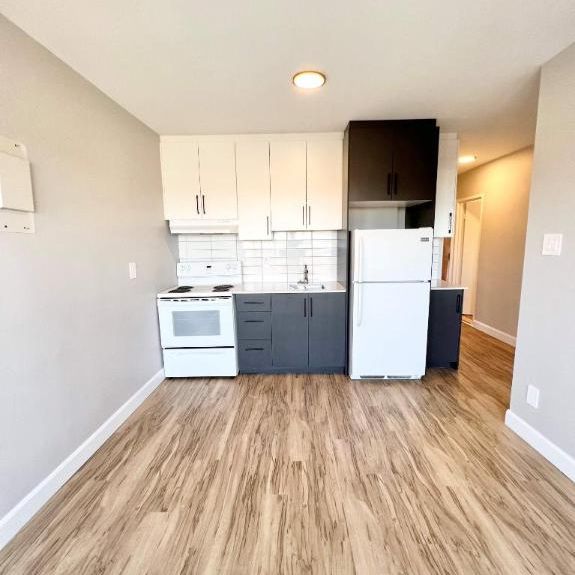 1 CH - 1 SDB - Montréal - $1,300 /mo - Photo 1