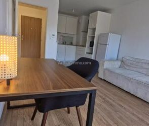 Location Appartement 2 pièces 41 m2 à Villiers-sur-Marne - Photo 2