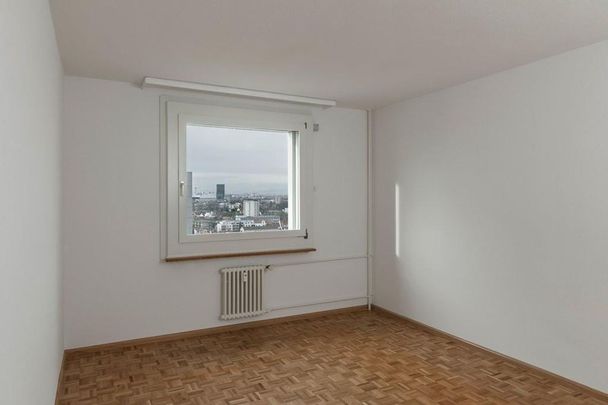 Searching for a wonderful view of Birsfelden - Photo 1