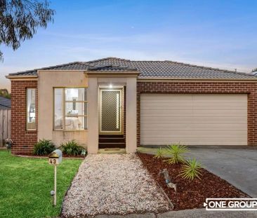 43 Senecio Drive, Doreen VIC 3754 - Photo 6