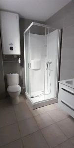 Location appartement 2 pièces - 47m² à Brioude (43100) - Photo 4