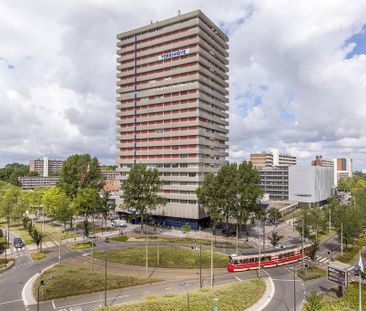Te huur: Appartement Martinus Nijhofflaan in Delft - Foto 1