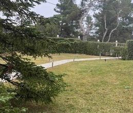 Μεζονέτα για ενοικίαση - Αφίδνες, - Photo 6