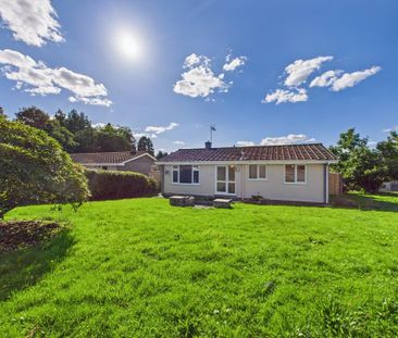2 bedroom detached bungalow to rent - Photo 1