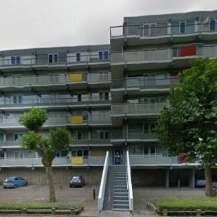 Forellendaal, 2553 Den Haag, Nederland - Foto 3