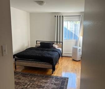 1 Bedroom Apartment - Photo 2