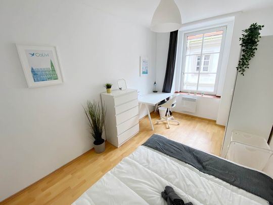 Kirchberggasse Zimmer 5 - Photo 1