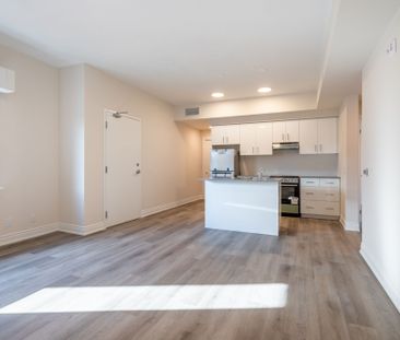 For Lease - 259 King Street Unit# 304, Hamilton, Ontario - Photo 5