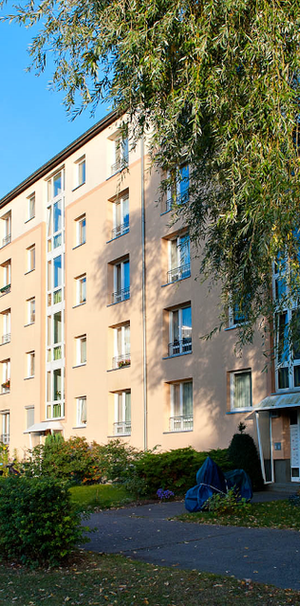 Wohnungen 3-ZimmerWhg 101 EGLI - Photo 1