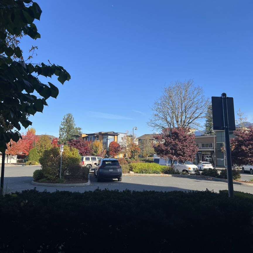 MARKET WAY APTS - 101 - MW101 - Photo 1