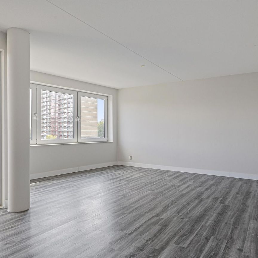 Appartement te huur: Calandkade 70 2521 AA Den Haag - foto 1