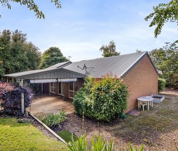 Spacious Family Home - Photo 4