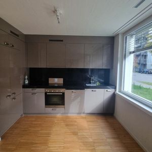 1.5 Zimmer Wohnung - Photo 2