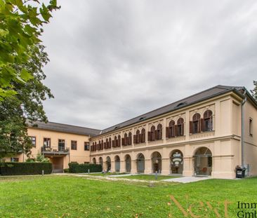 Charmante 2,5-Zimmer-Wohnung mit gemütlichem Eigengarten im Palais ... - Photo 3