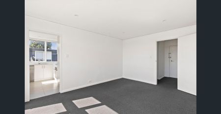 Spacious and Light Filled Apartment - Photo 2