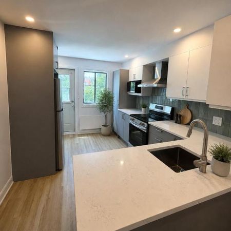 4 1/2 - Montréal (Le Plateau Mont-Royal) - 2 150 $/mois - Photo 3