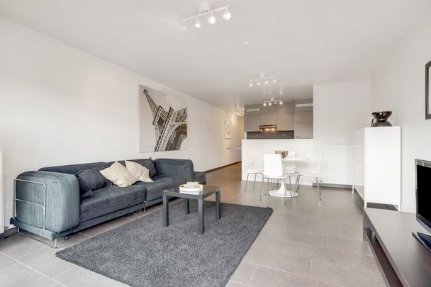 Gemeubeld appartement met 2 slaapkamers en terras - Photo 1